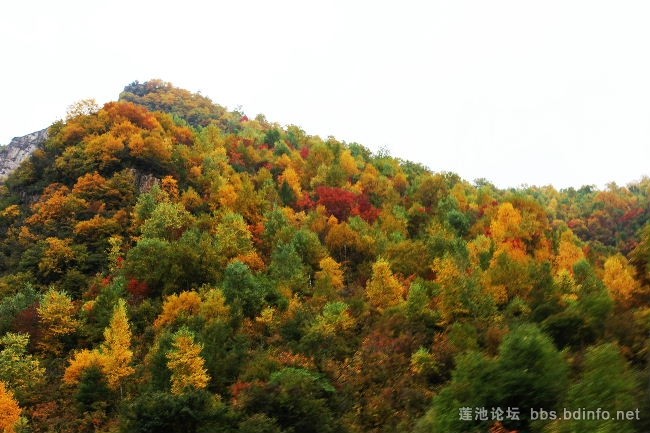 高山之巅的对决