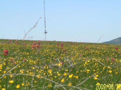 2009年6.7-7.7的草原