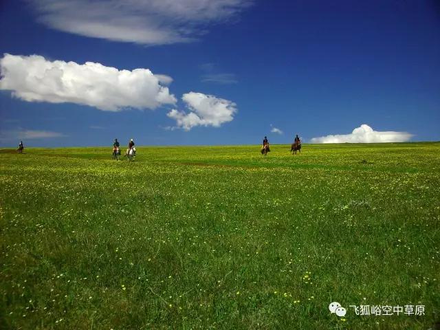 空中草原景区不受“杜苏芮”影响，正常营业！！